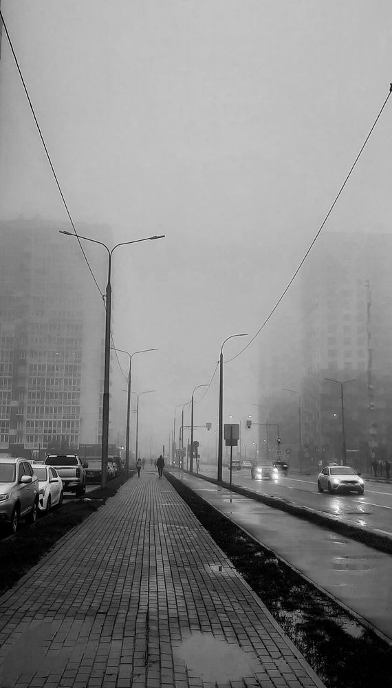 Photograph by Любовь Дворникова