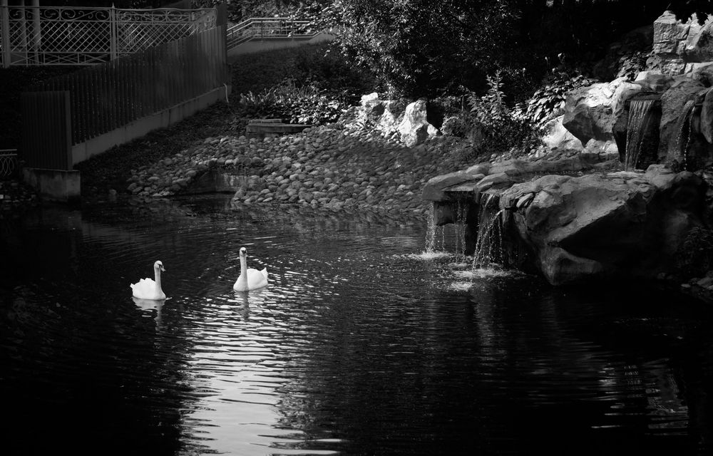 Photograph by Любовь Дворникова