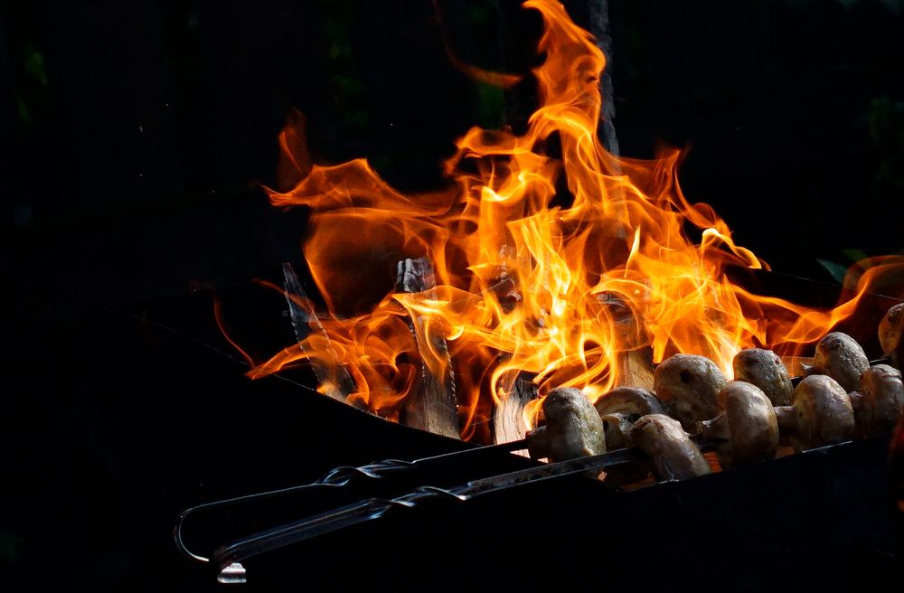 Photograph by Любовь Дворникова