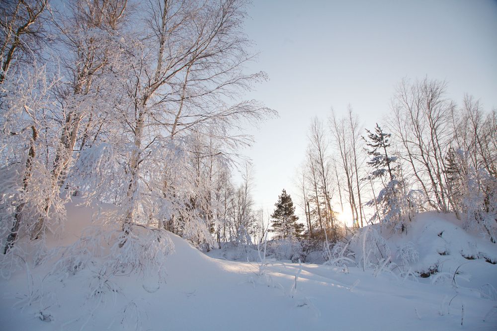 Photograph by Эльза Юнусова