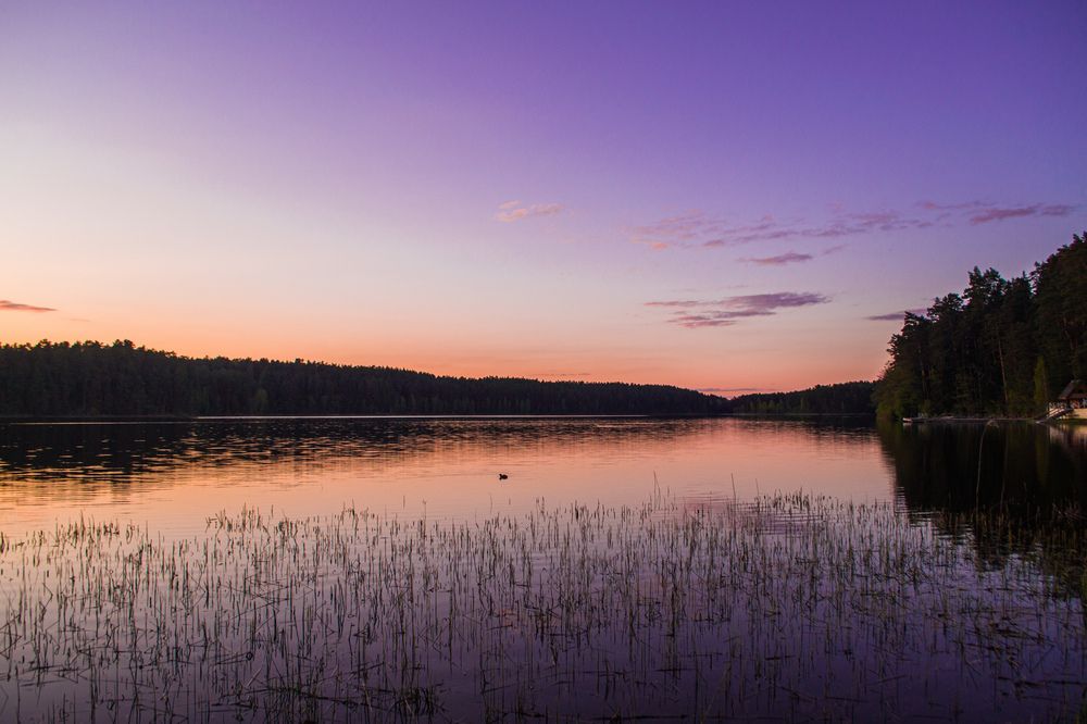 Фотография автора Владислав Базылев