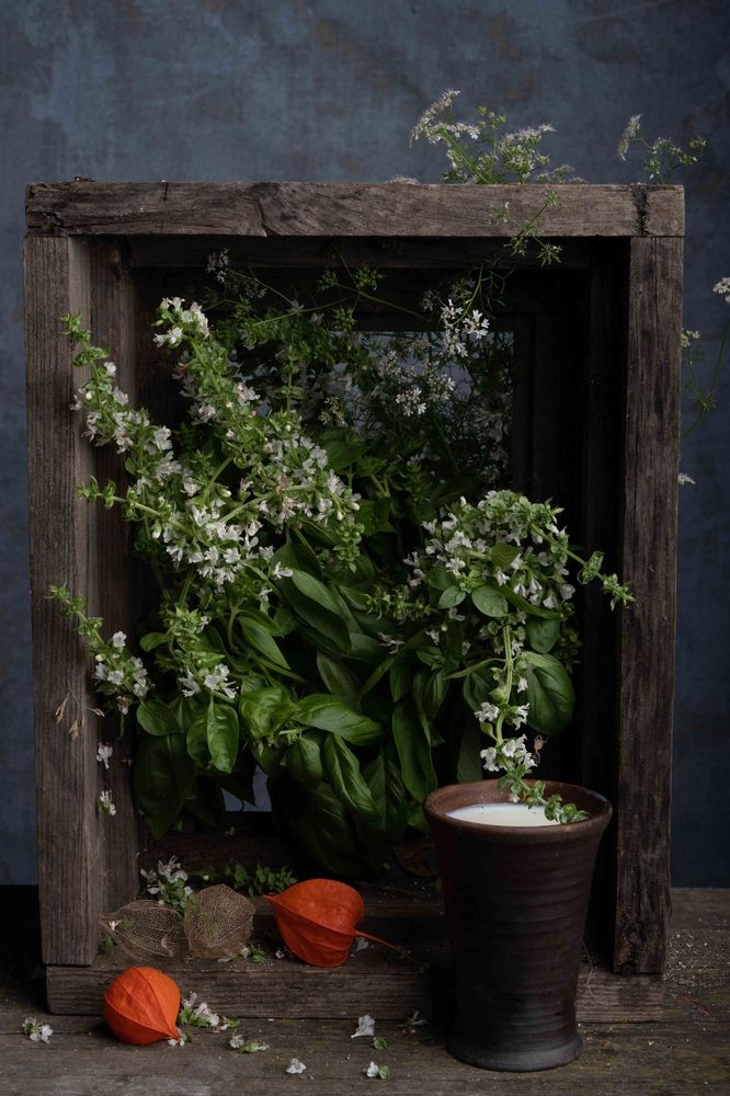 Фотография автора Могилевцева Дарья