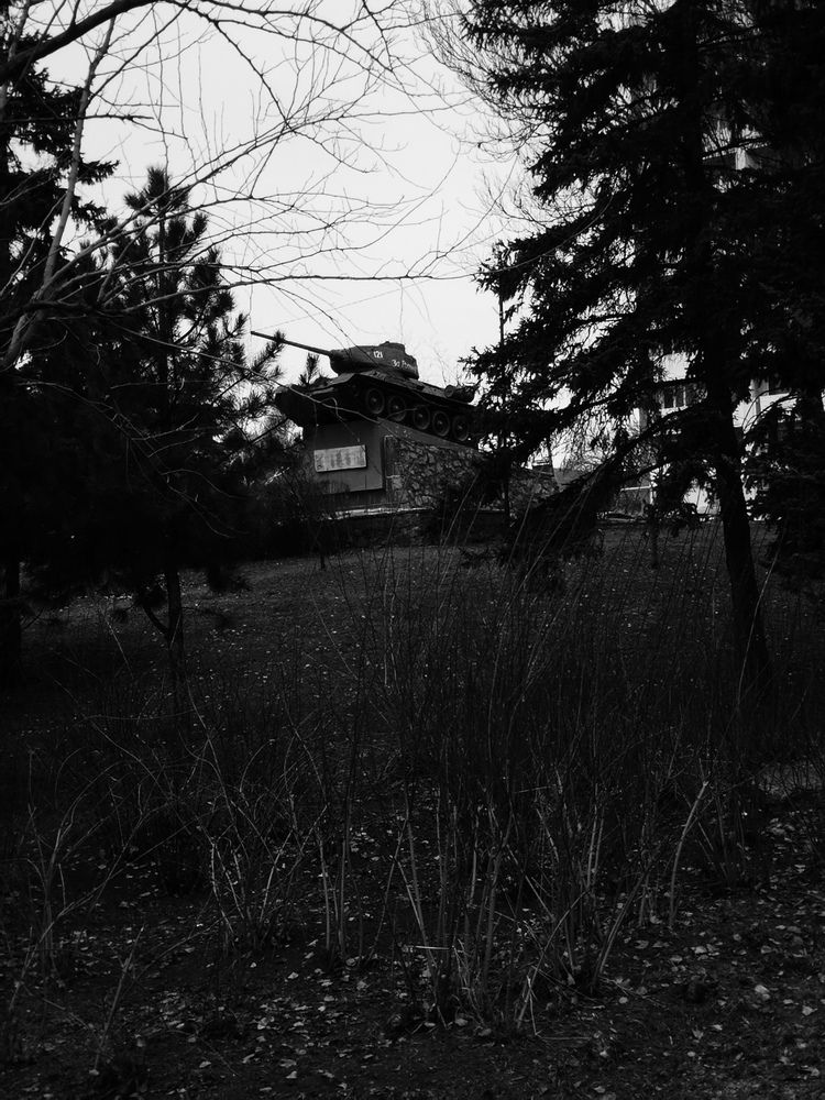 Photograph by Анастасия Зубанова