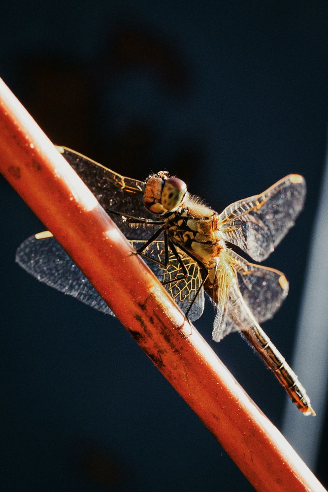 Photograph by Григорий Шишонков