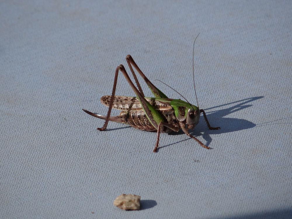 Photograph by Данила Мельников