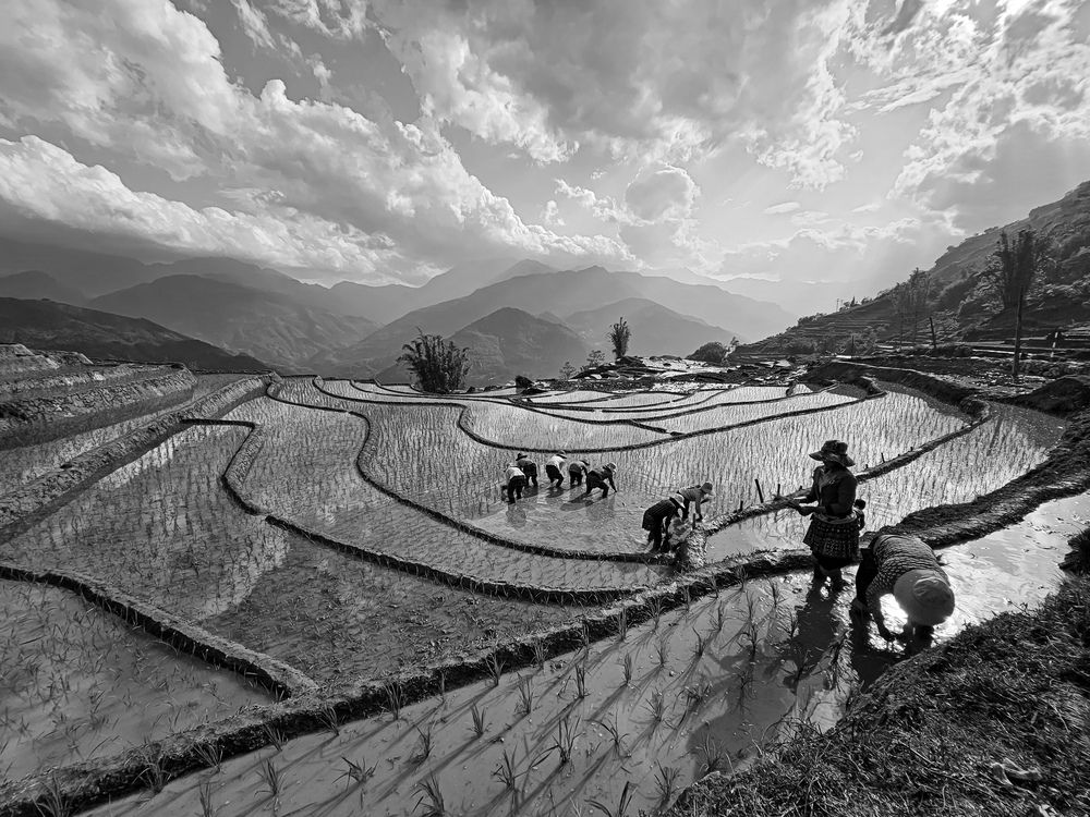 Photograph by Do Thi Thanh Binh