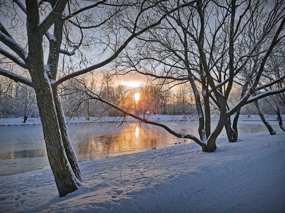 Фотография автора Анатолий Дауров