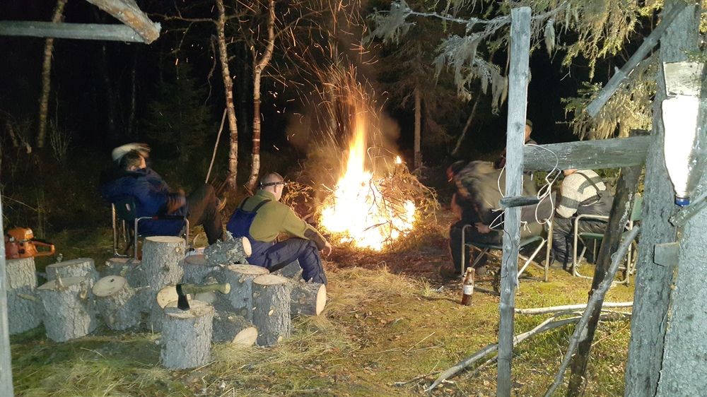 Photograph by Светлана Зотова