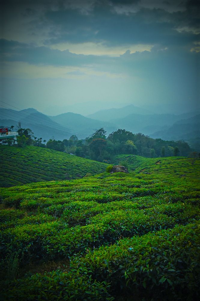 Photograph by Shubham Mahapatro