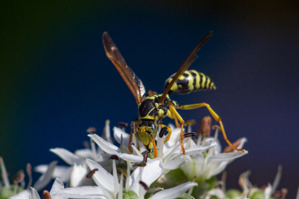 Photograph by Богдан