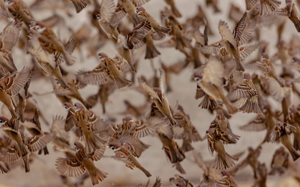 Photograph by Алексей Широбоков