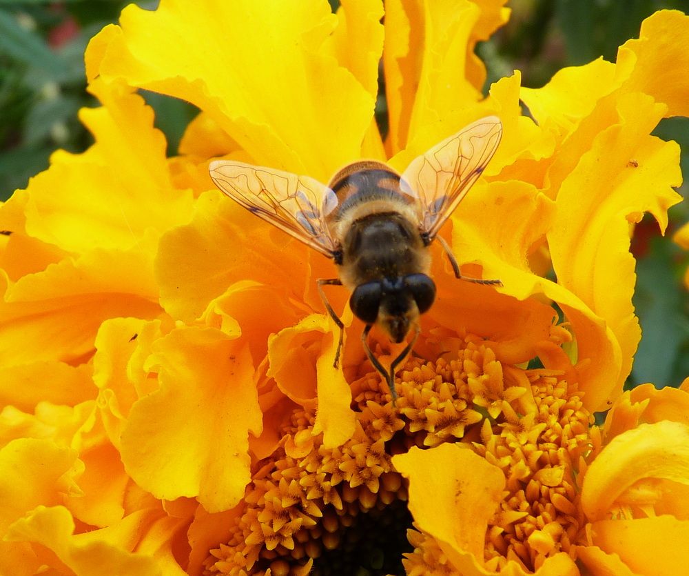 Photograph by Galina Leskova