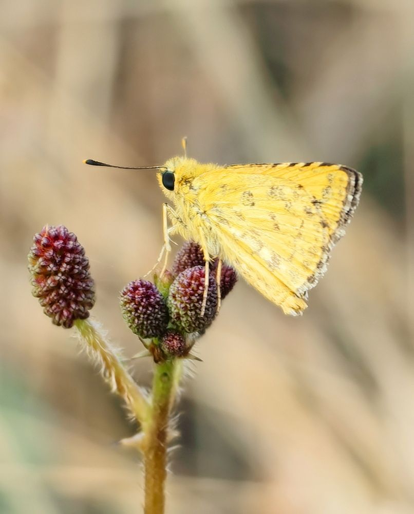 Photograph by Кристина Феминова