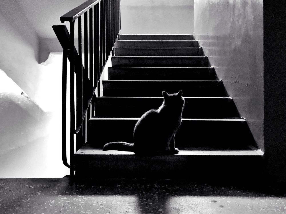 Photograph by Дмитрий Филев