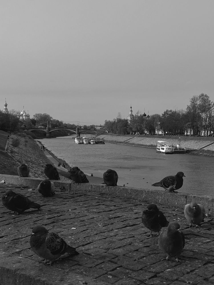 Photograph by Yulia Kotova