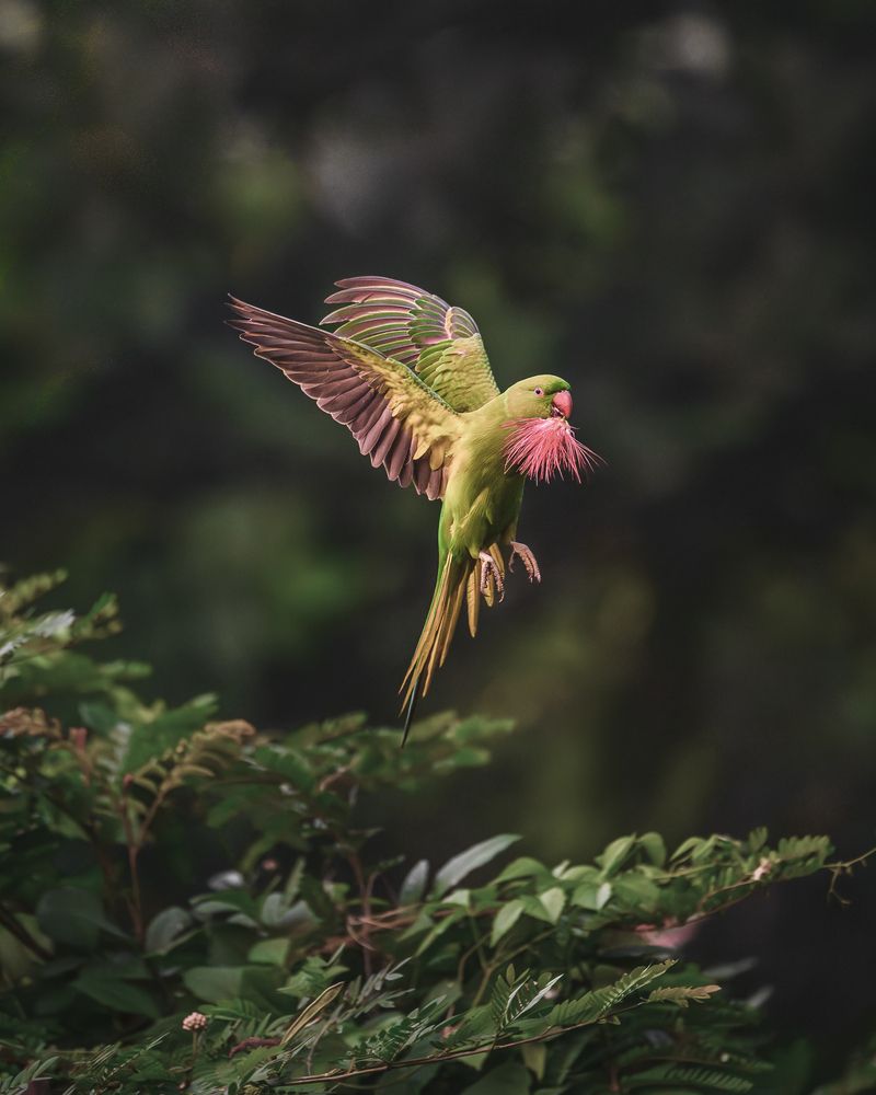 Photograph by Siddhartha Roy Choudhury