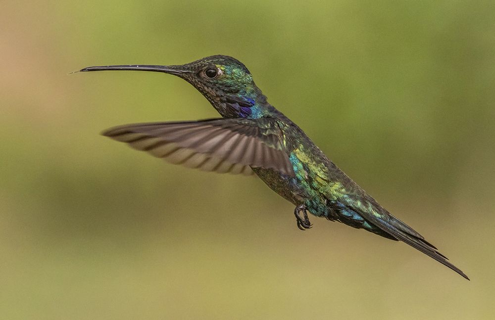 Photograph by Mario Fiorucci