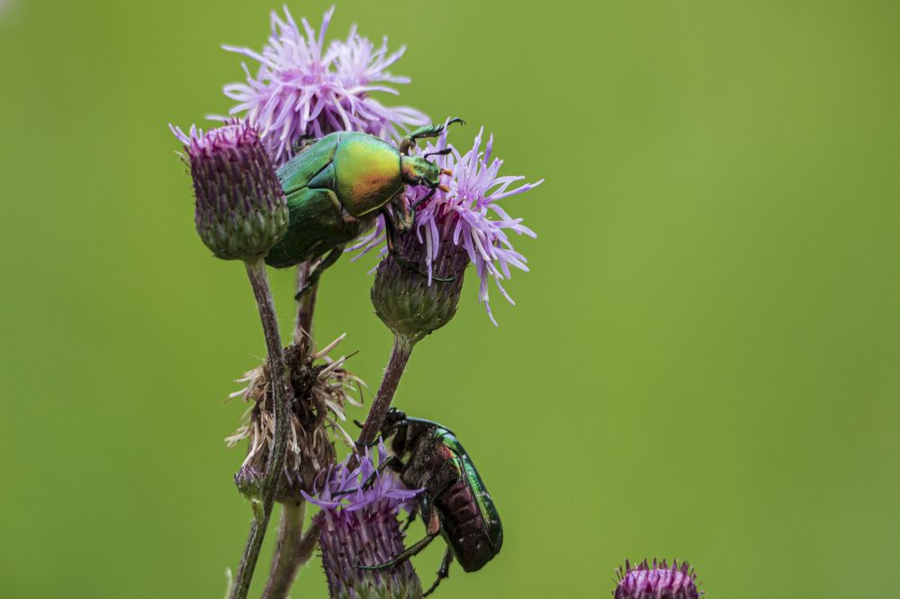 Photograph by Надежда Михайлина