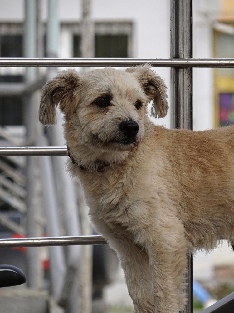 Photograph by Данила Мельников