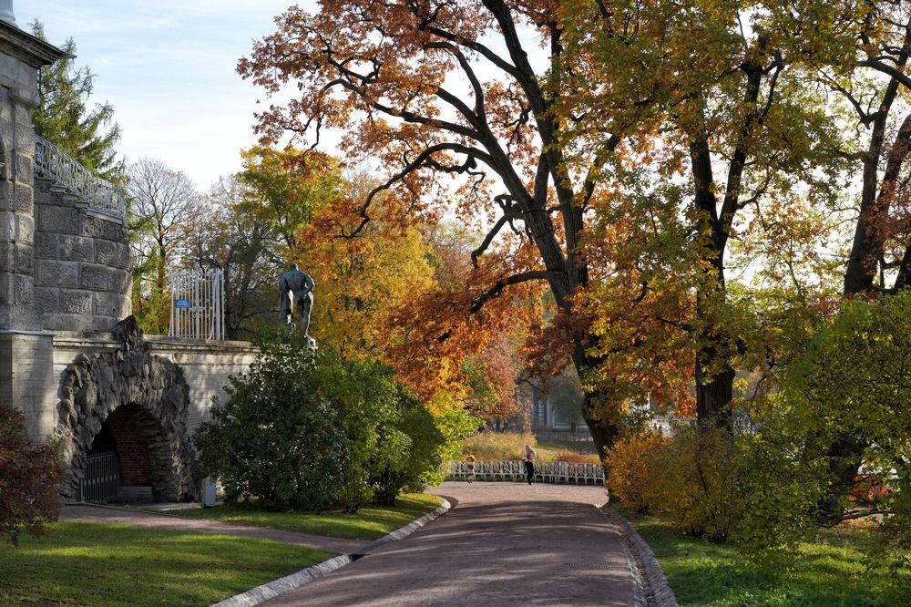 Photograph by Елена