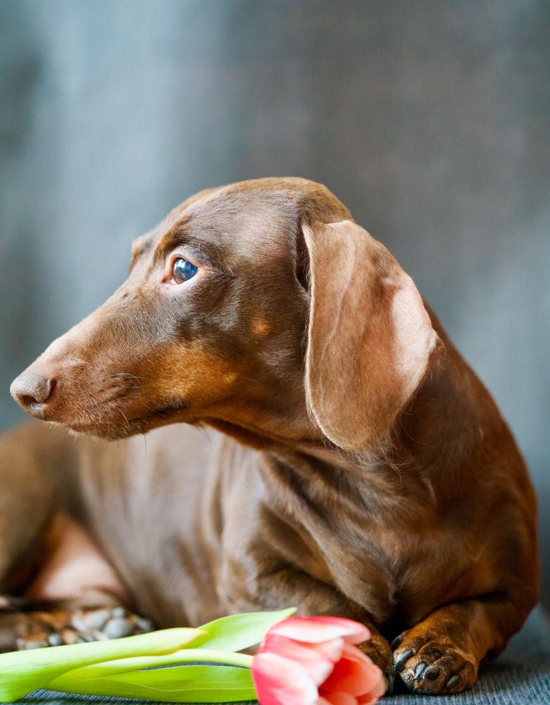 Фотография автора Viktoriya Kim