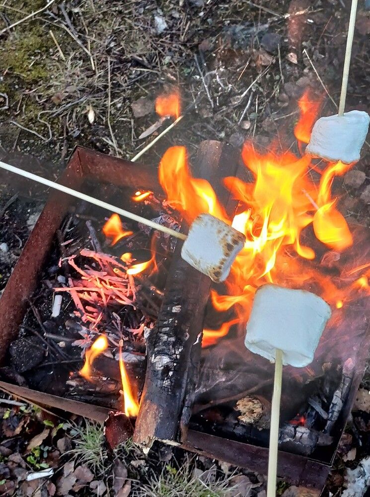 Photograph by Светлана Зотова