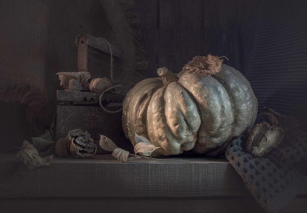 Фотография автора Шипунова Ирина