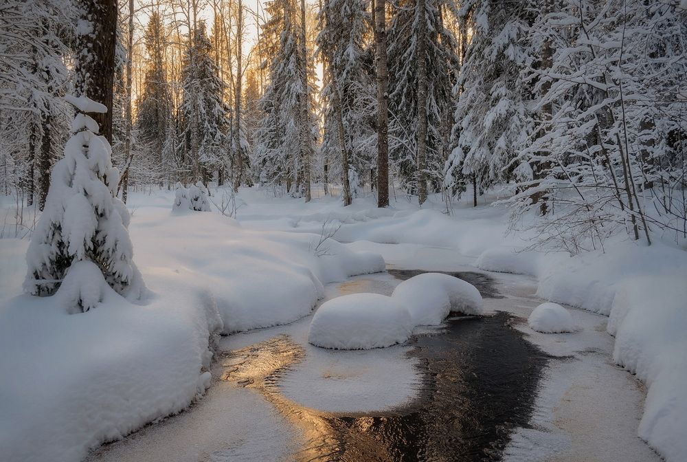 Photograph by Панова Зоя