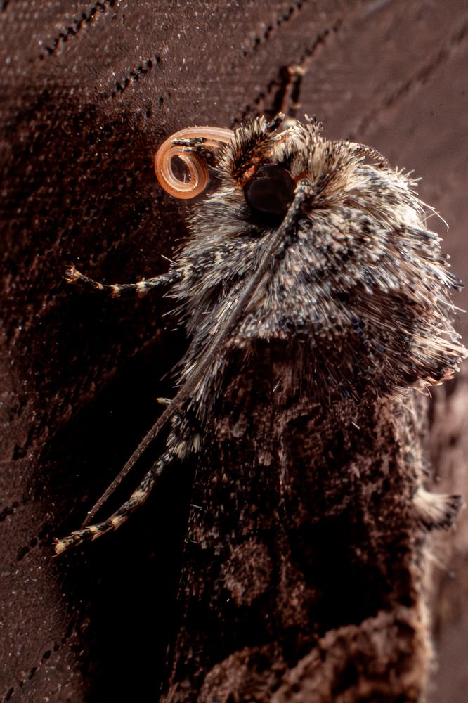 Фотография автора Олег Васильев