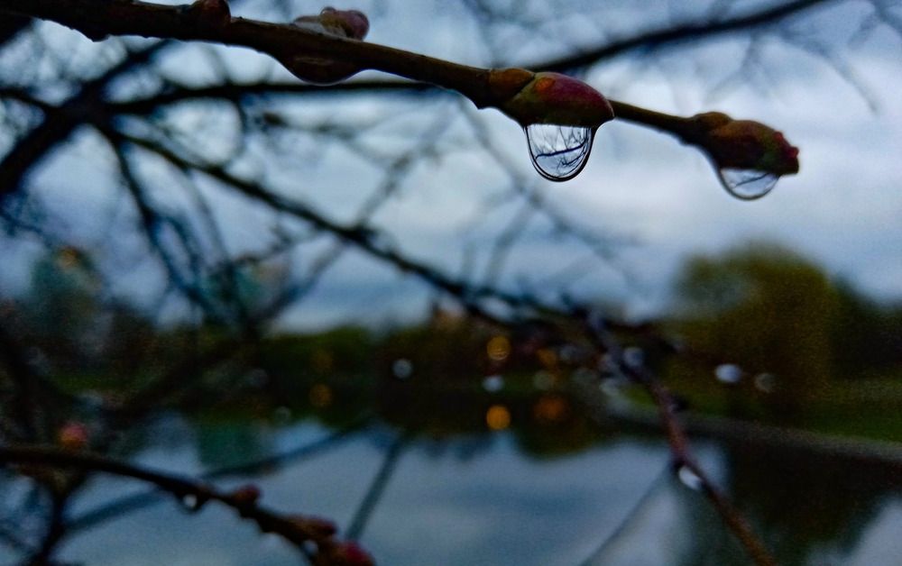 Photograph by Мария Яковлева