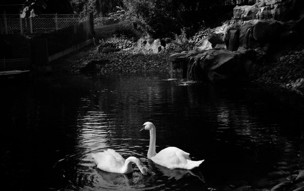 Photograph by Любовь Дворникова