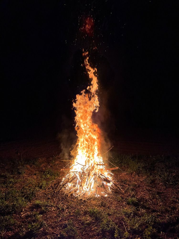 Photograph by Марина