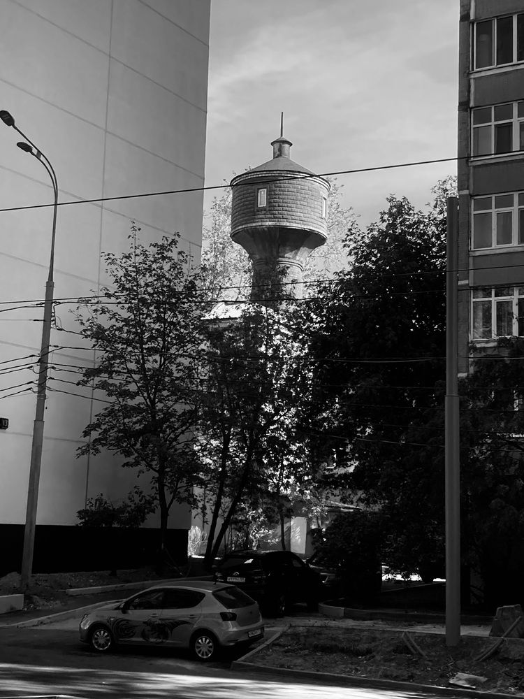 Photograph by Светлана