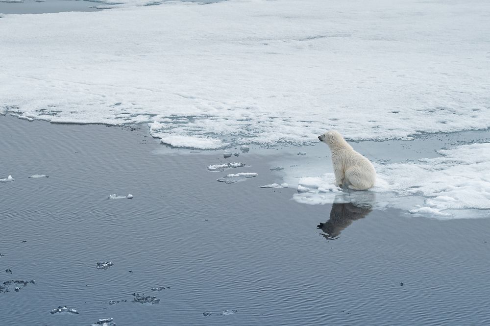 Photograph by Shobhit chawla