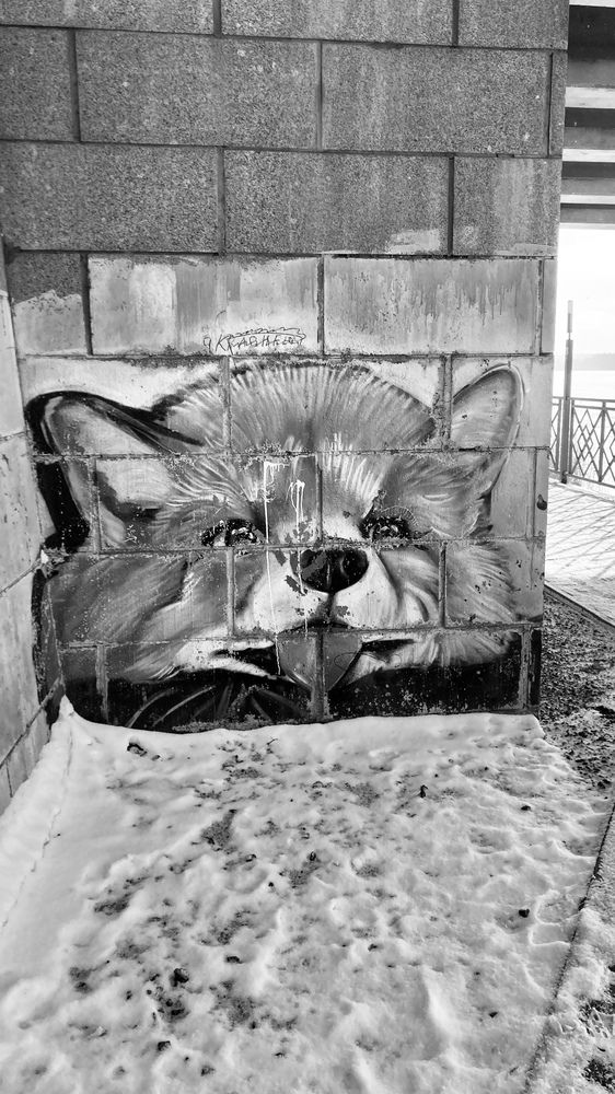 Photograph by Илья Юриков