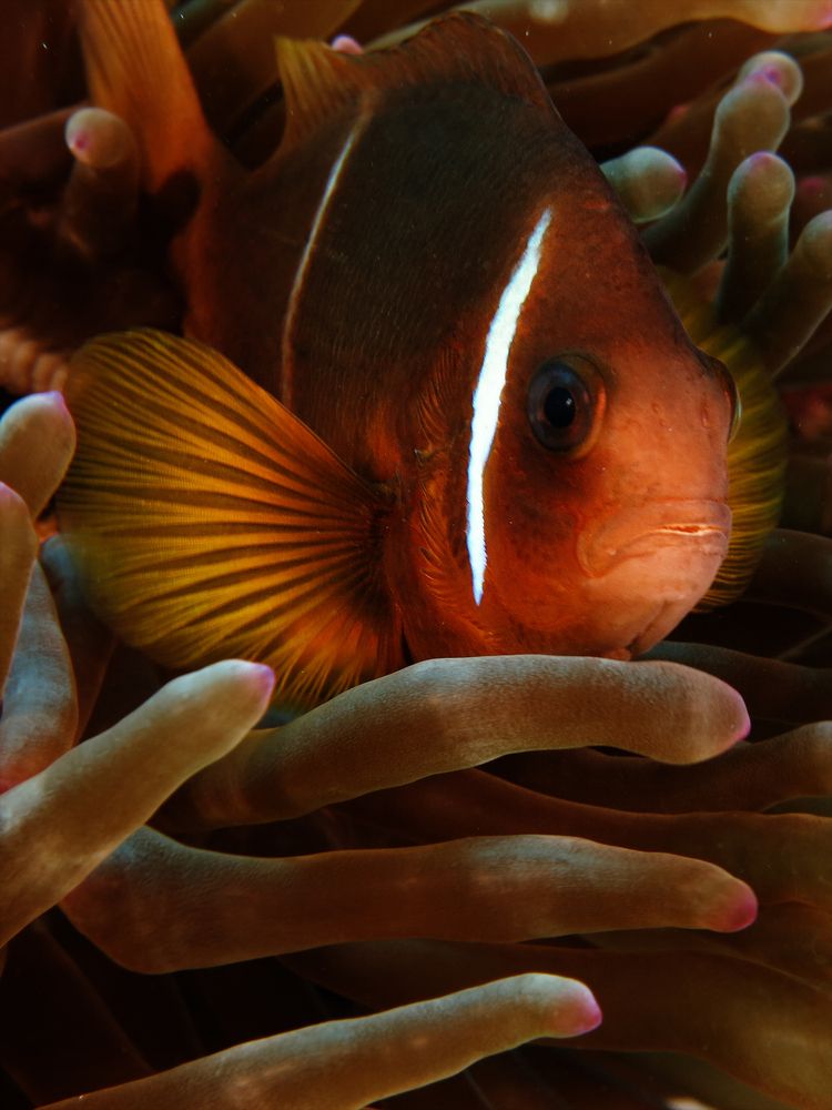 Photograph by Дмитрий Челноков