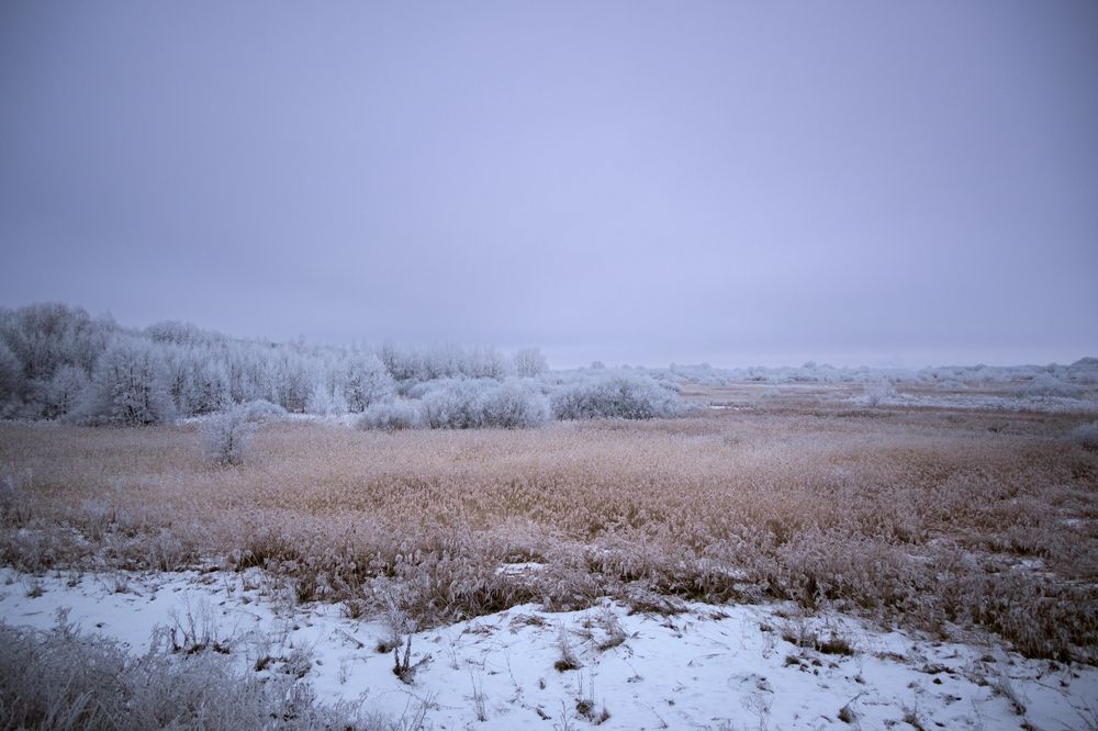 Photograph by Сергей Калинин