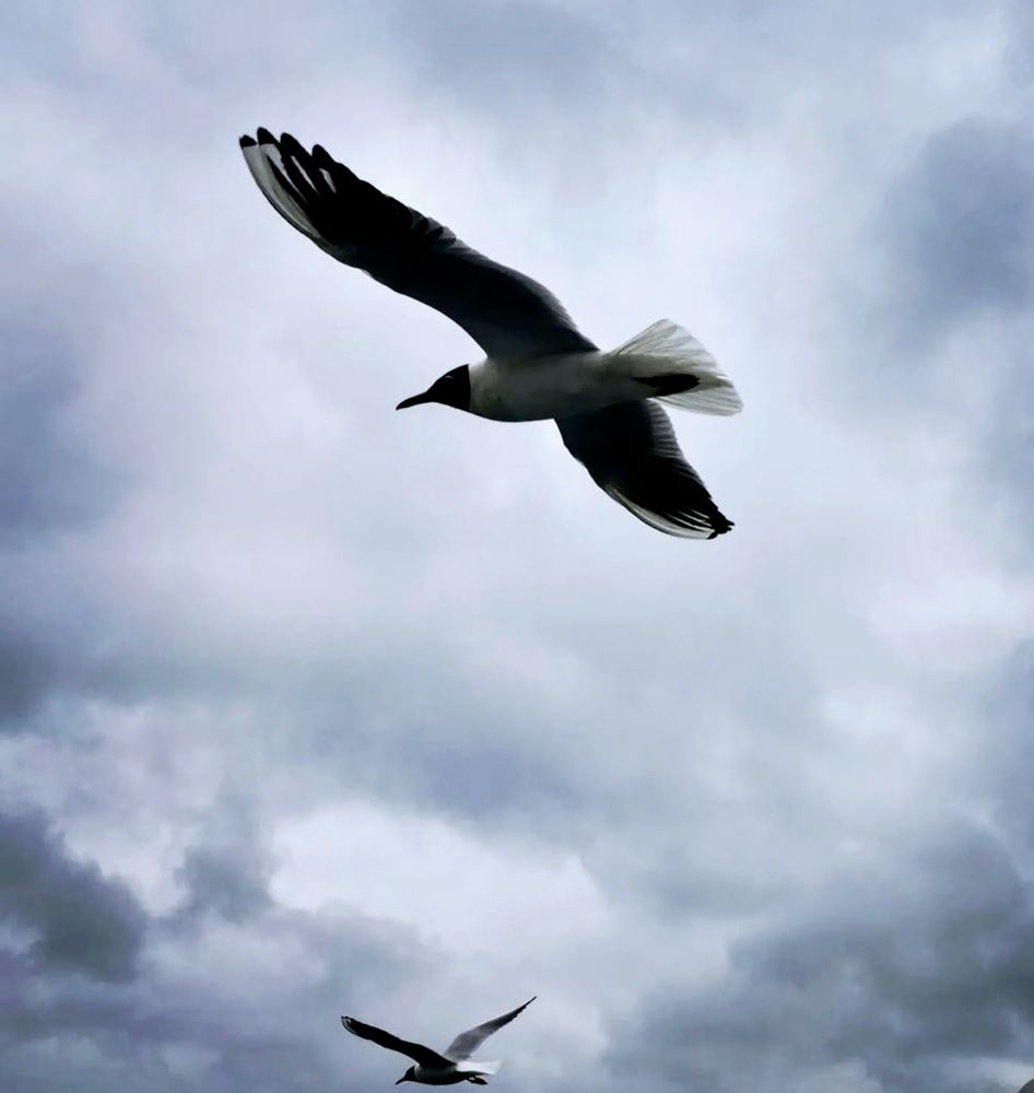 Photograph by Екатерина Балобанова