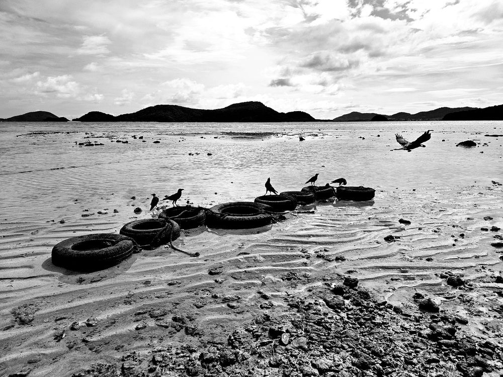 Photograph by Vol-de-M
