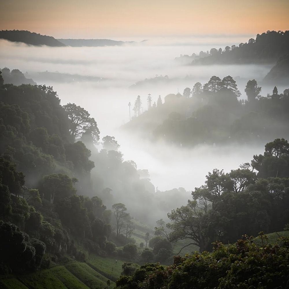 Photograph by Виталий Маслов