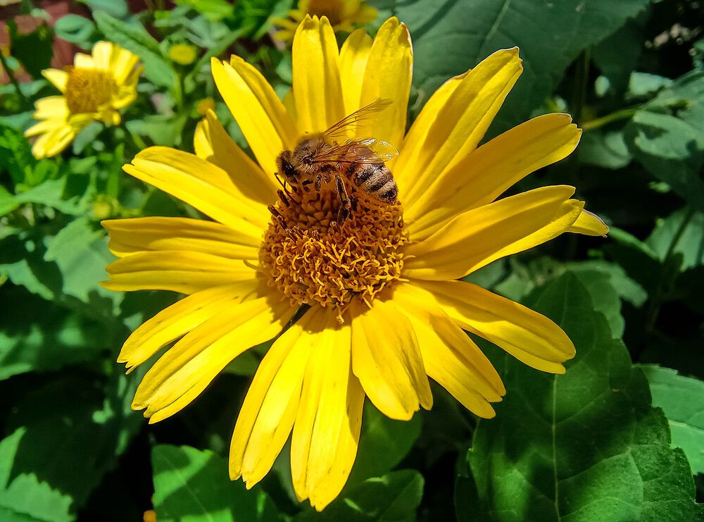 Photograph by Талисман Виталий