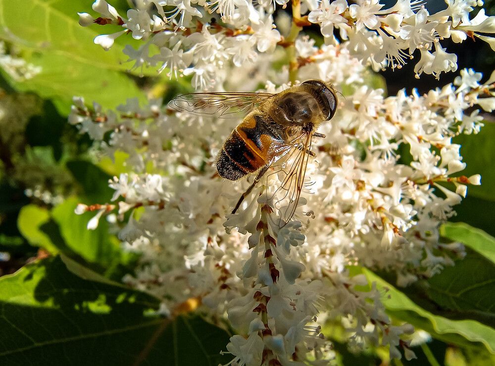 Photograph by Талисман Виталий