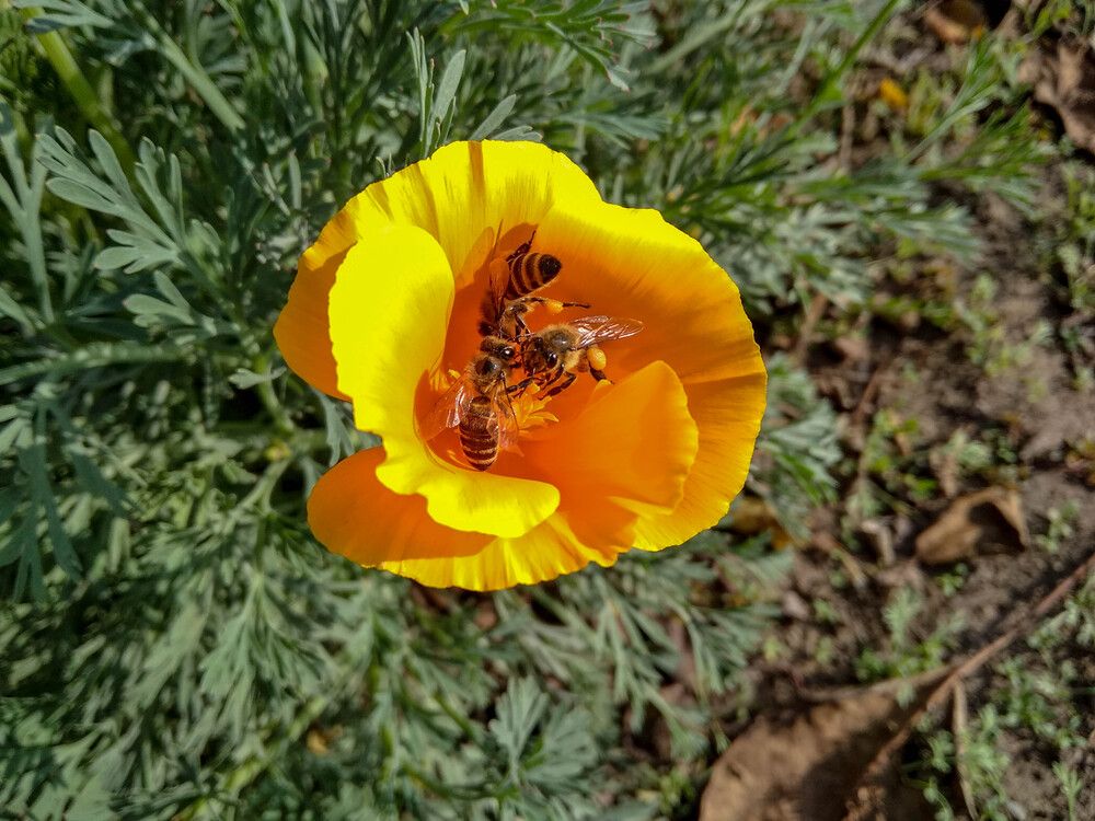 Photograph by Талисман Виталий