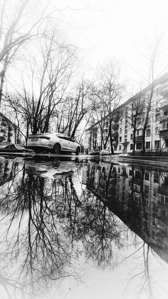 Photograph by Ирина Багдасарова