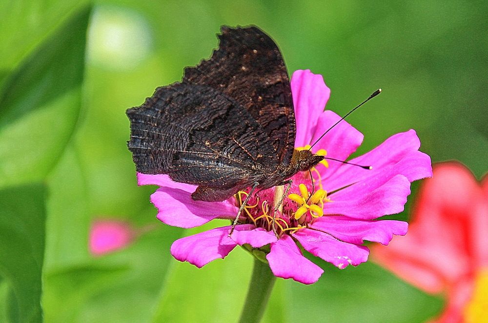 Photograph by Виталий Симоненков