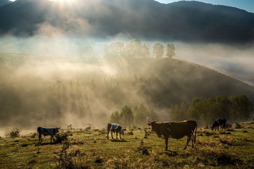 Photograph by levi bagy