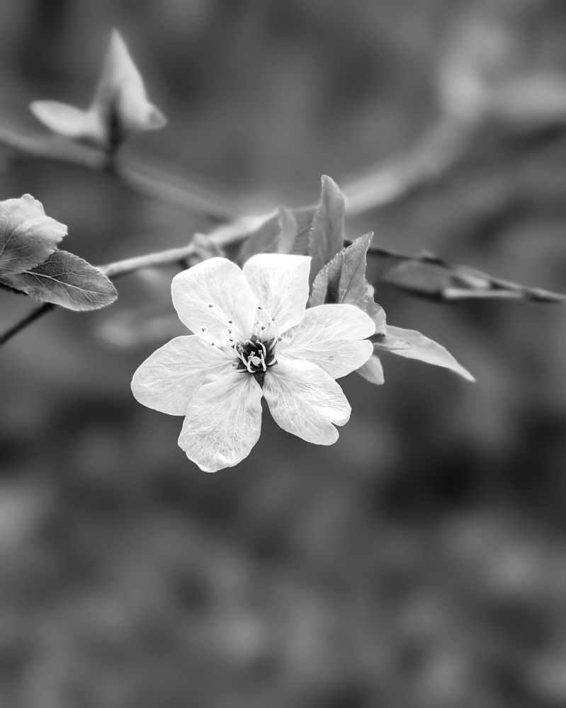 Photograph by Алексей Гуминский