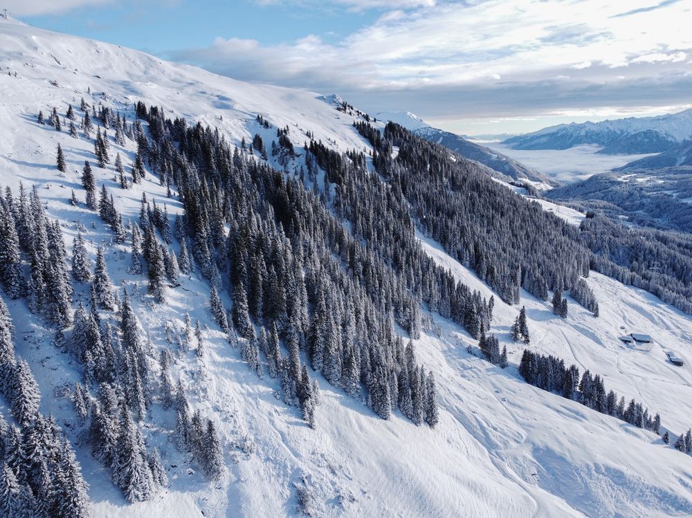 Photograph by Dmitrijs Rjabcevs