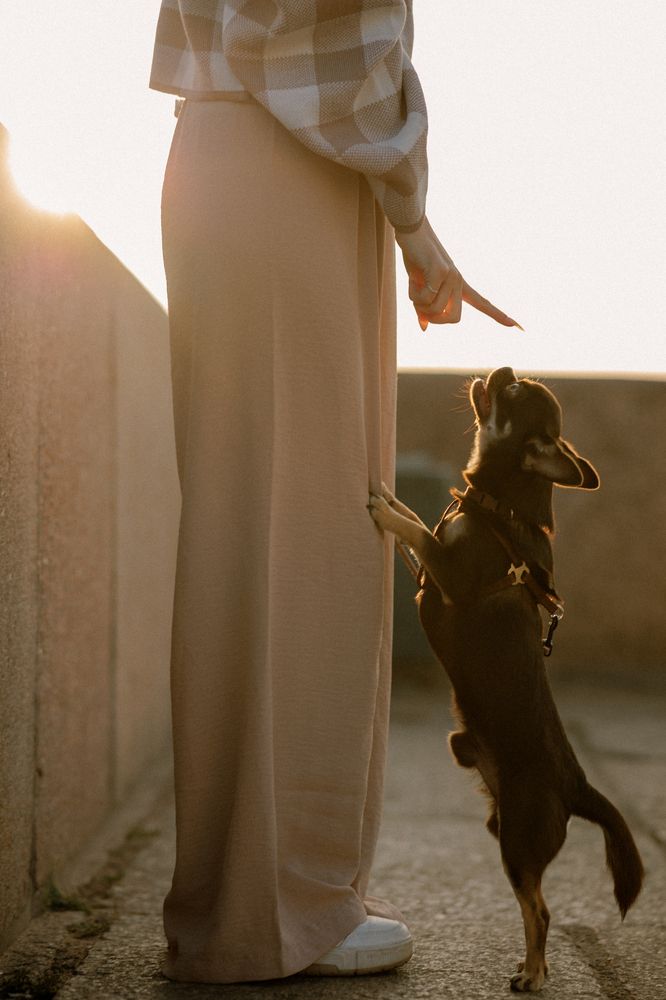 Photograph by Алёна Губинская