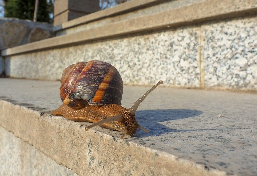 Photograph by Сергей Пушкин